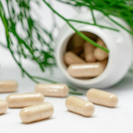 Completos Alimenticios